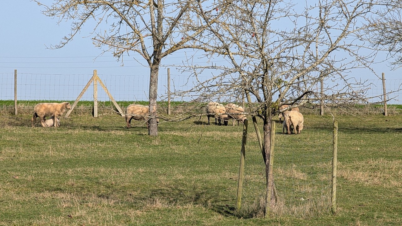 Mantois - Au départ de Prunay le Temple