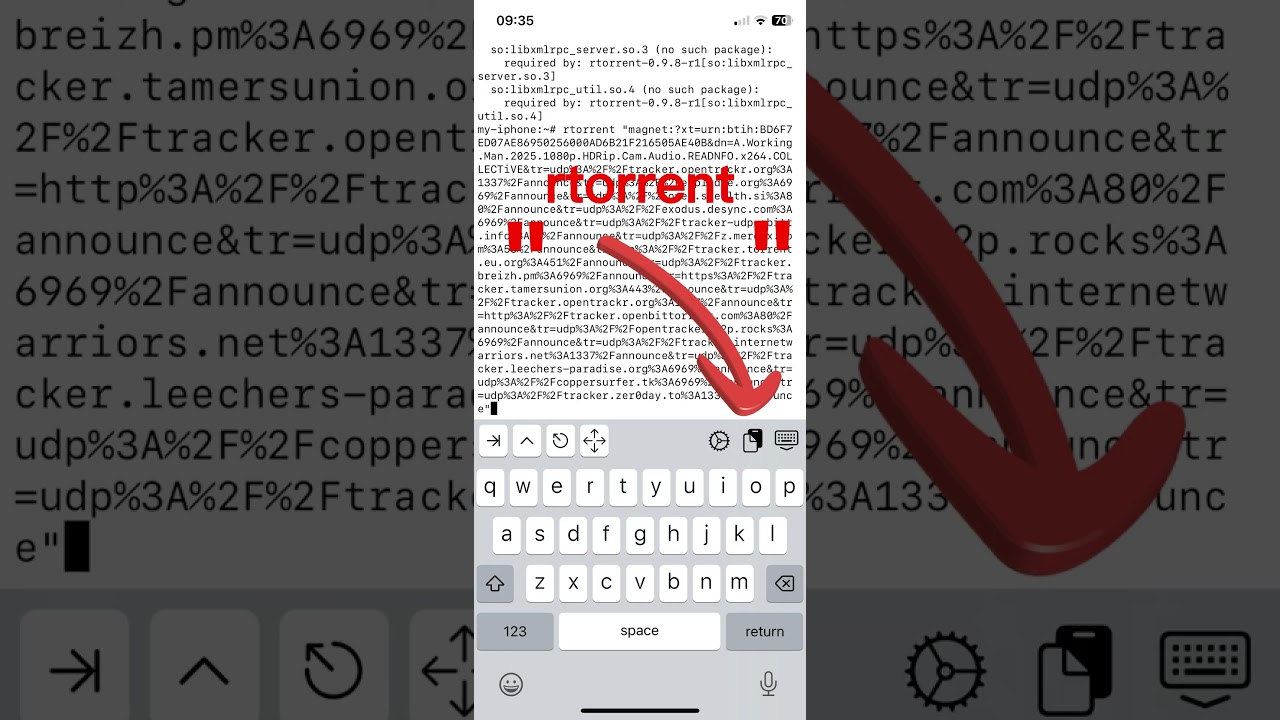 Download Torrents on iphone
