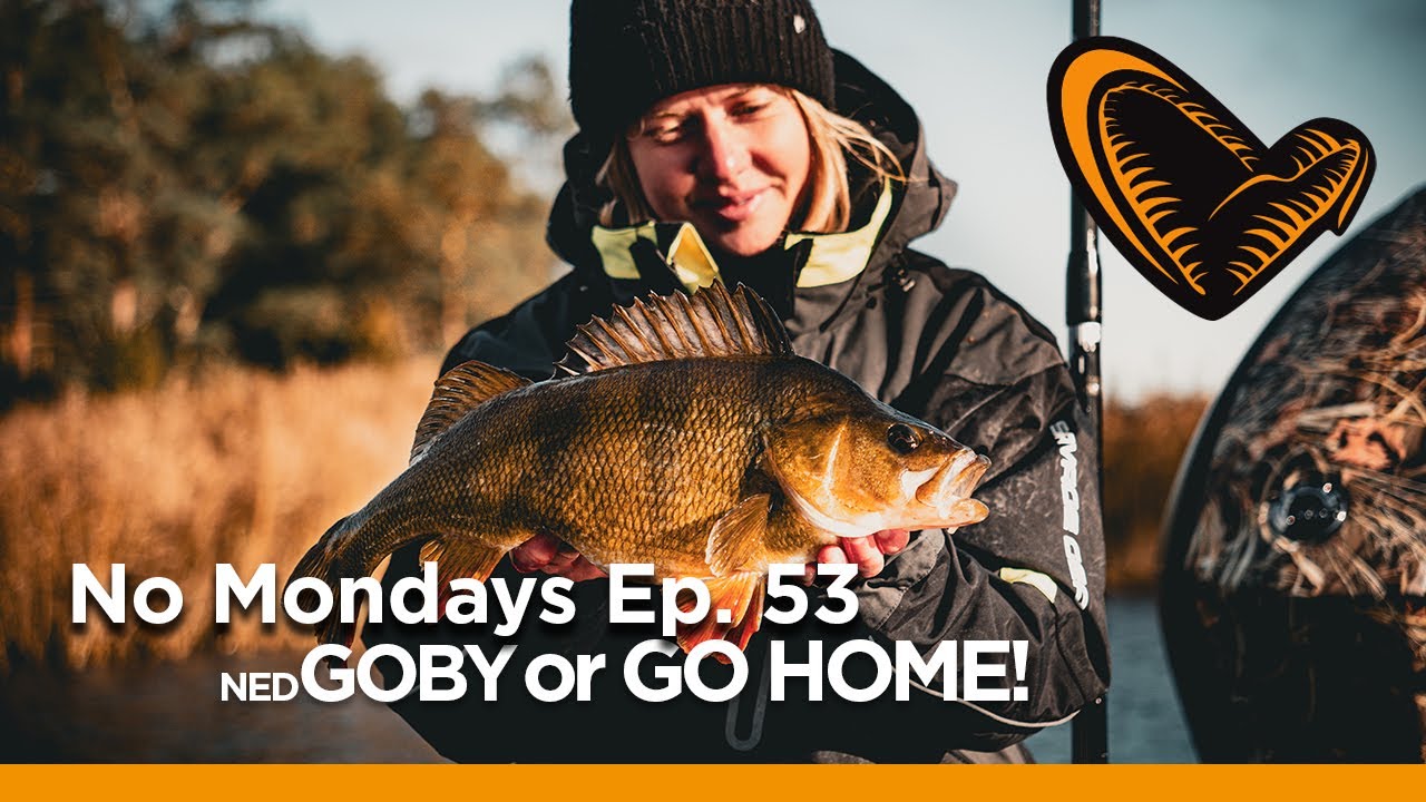 No Mondays - Ep 53 - GOBY or GO HOME