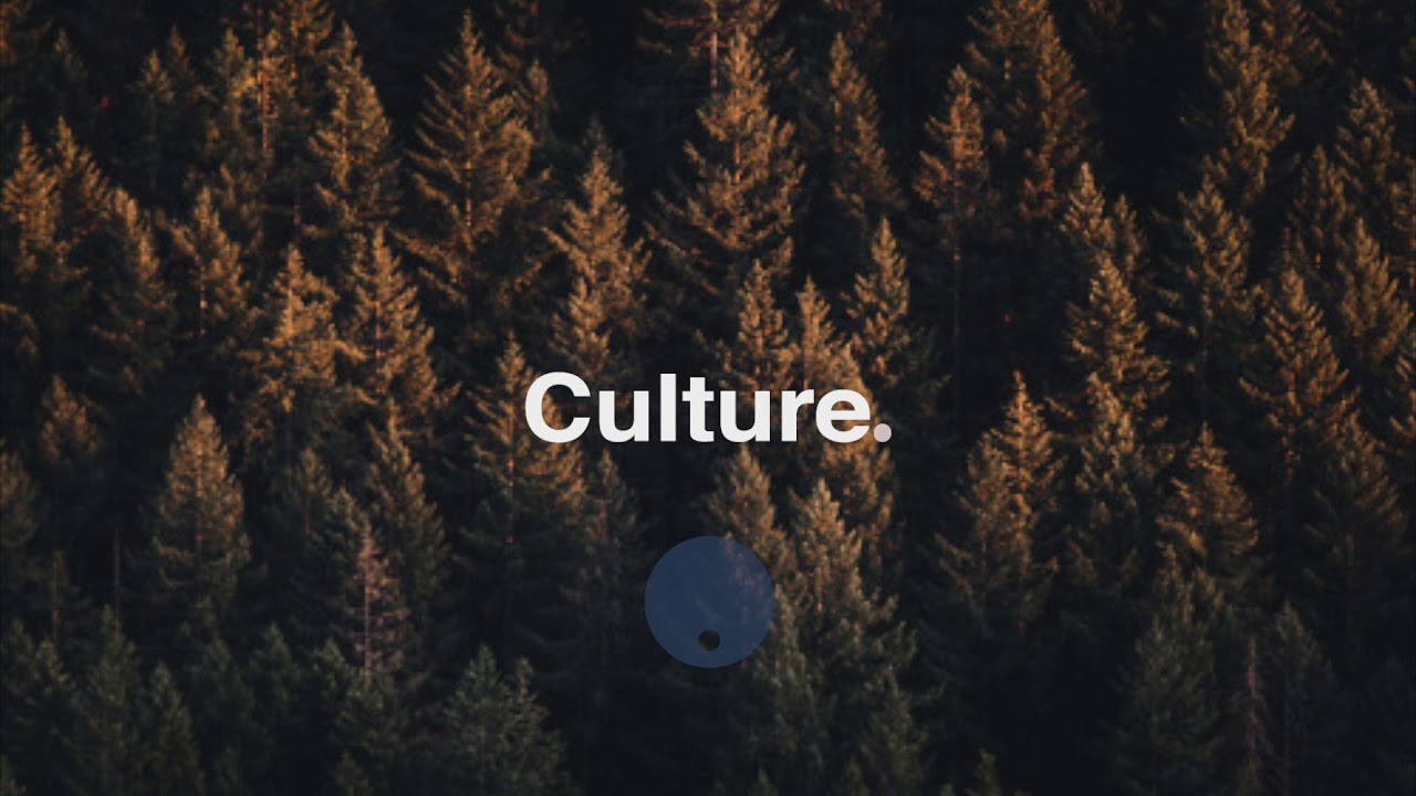 Wallaby - Where Did We Go Wrong (feat. Cali & PaperShapes)