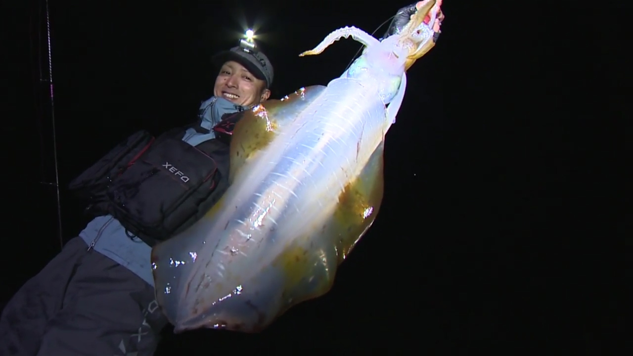 【いつでも釣り気分！】#219 湯川マサタカ流ショアエギング　冬の大型アオリイカを狙う