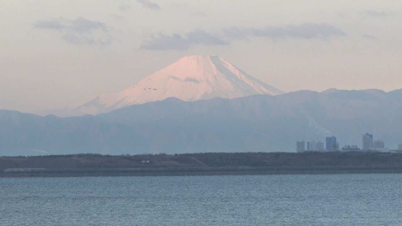 こちら浦安情報局#902「浦安の歴史と文化を巡る」
