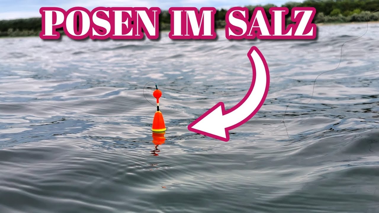 Angeln an der Ostsee auf Hornhecht mit Pose im Mai 2024
