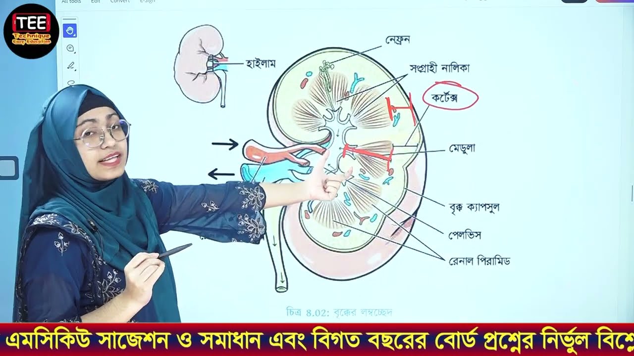 টাইপ ২ | রেচন প্রক্রিয়া | অধ্যায় ০৮ | বহুনির্বাচনি | এসএসসি জীববিজ্ঞান | SSC Biology Chapter 08 MCQ