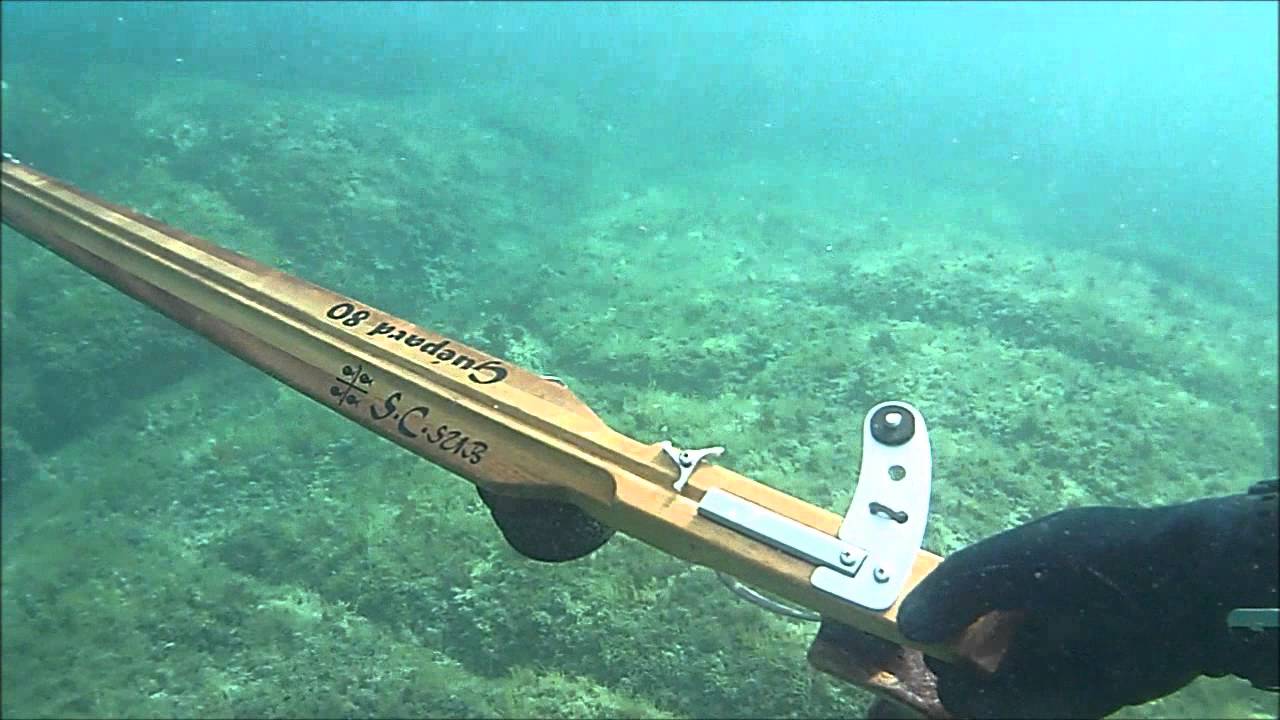 Pesca sub : Prove di tiro del nuovo Guépard 80 Roller 2016