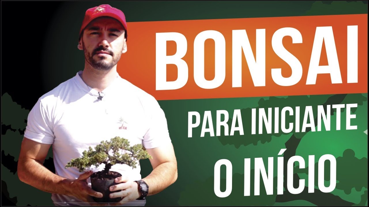 BONSAI PARA INICIANTES | COMO COME&Ccedil;AR | ABC DO BONSAI - PARTE 2