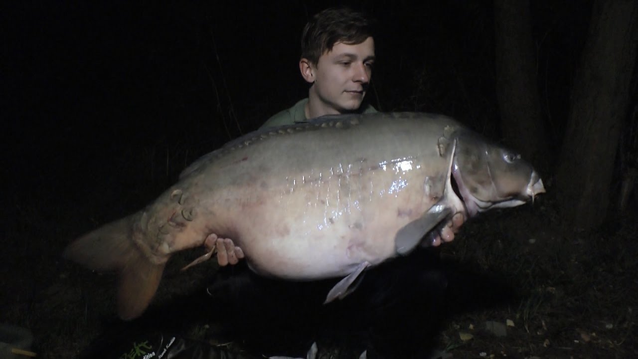 Carp team Exil - River carping 2016 (3x 20kg+)