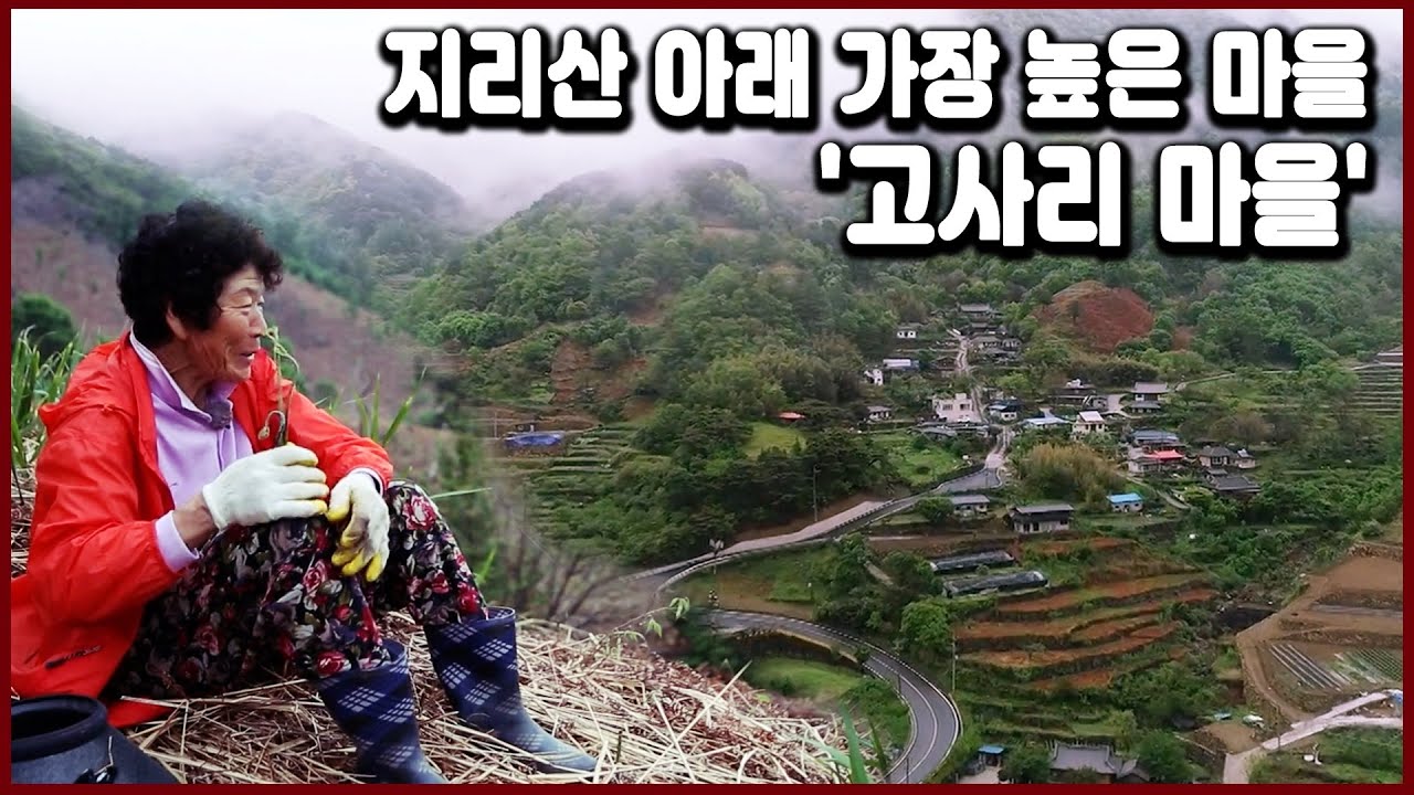섬진강 쌍계사 벚꽃 터널을 지나면 나타나는 깊은 골짜기 '고사리 마을' 범왕마을 (KBS_2018.05.26 방송)