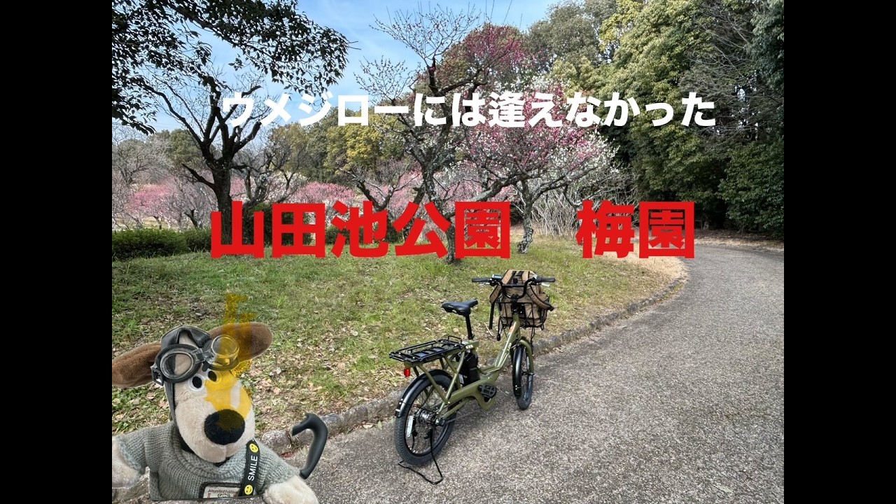 梅園と野鳥　山田池公園ポタリング