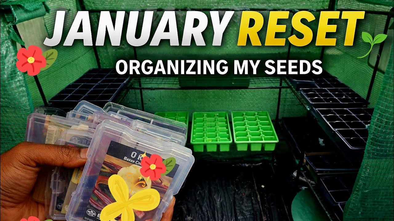 My January Greenhouse Reset 🌱 Cleaning, Organizing Seeds & Prepping to Plant.
