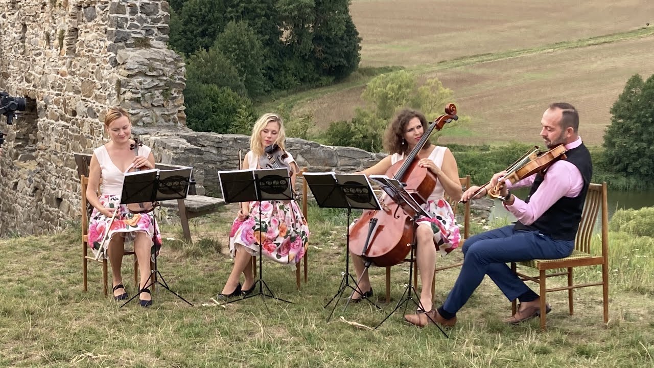 Statečné srdce - For a Heart Of a Princess - String Quartet version