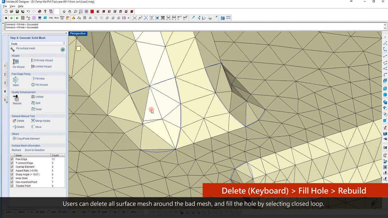 Moldex3D Designer BLM Surface Mesh Fixing