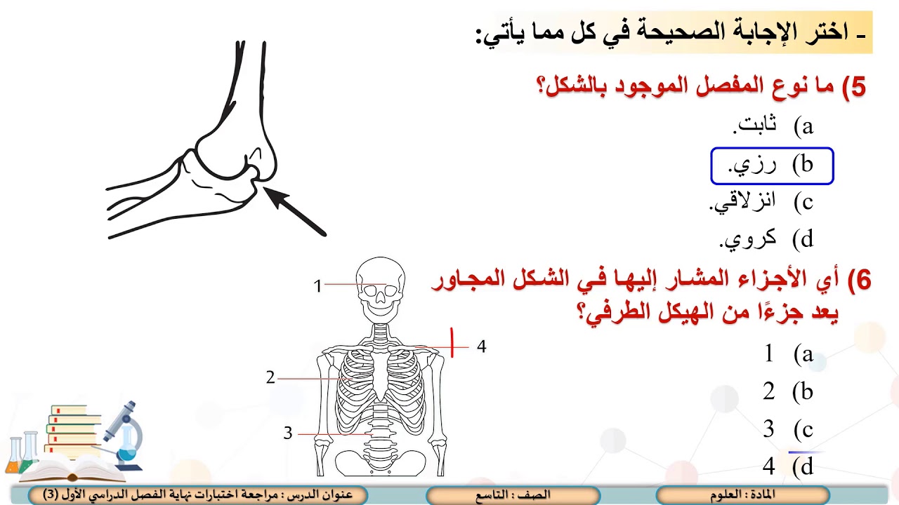 الصف التاسع   العلوم   مراجعة اختبارات نهاية الفصل الدراسي الأول 3