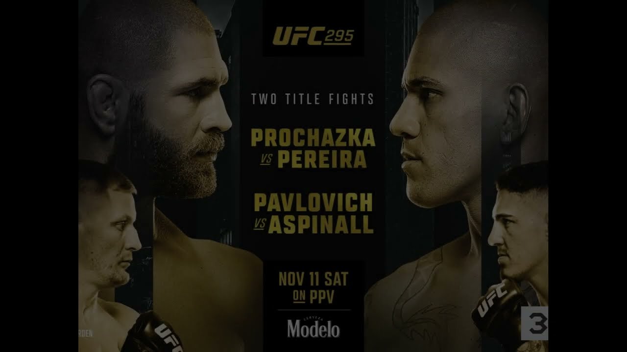UFC 295 Betting Odds -  Bet On Fights