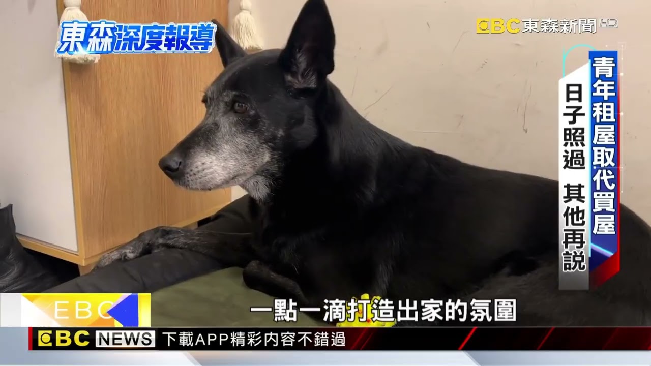 軟裝潢流行中 租屋族也要高品質 找回生活掌控感【東森深度報導】@newsebc