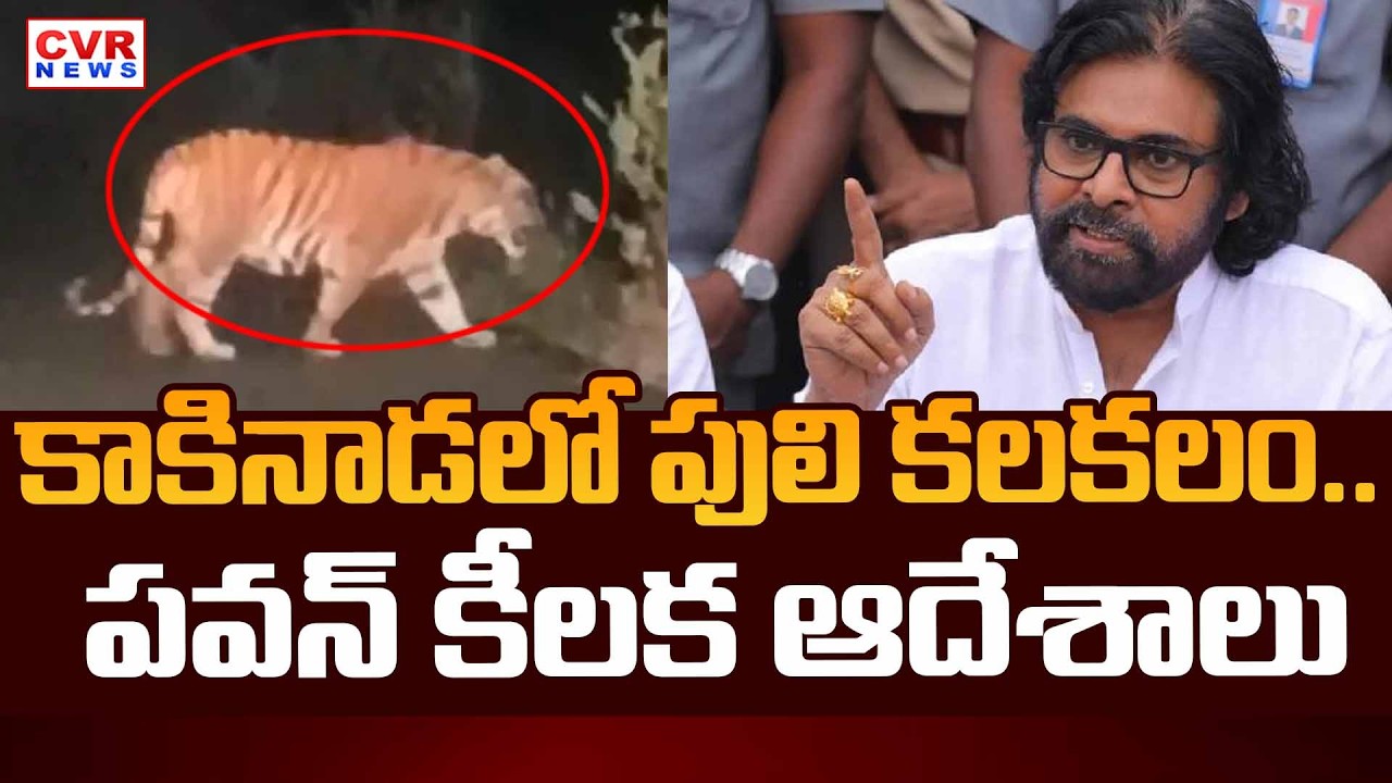 కాకినాడలో పులి కలకలం | Deputy CM Pawan Kalyan Reaction To Tiger In Kakinada | CVR News