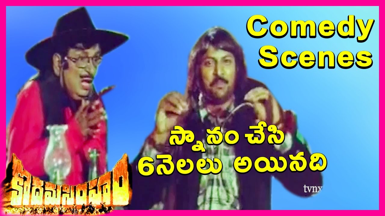 Kodama Simham Movie | Chiranjeevi & Sudhakar Superb Comedy Scene | Mohan Babu | TVNXT Comedy