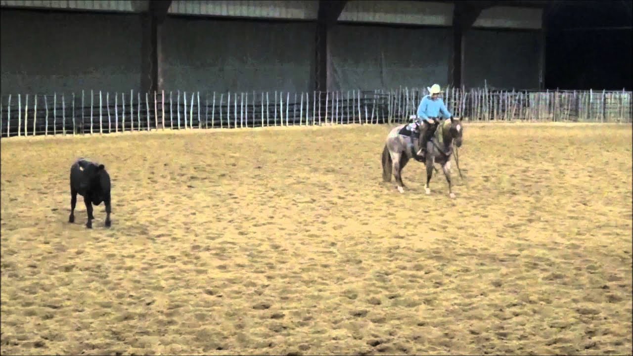 BET SHES DUALIN  2013 Red Roan Mare in training with Wayne Robinson