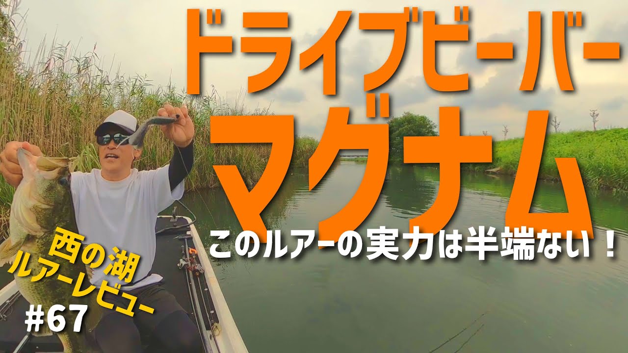 ドライブビーバーマグナムの半端ない威力！『琵琶湖内湖』西の湖で実力を証明！