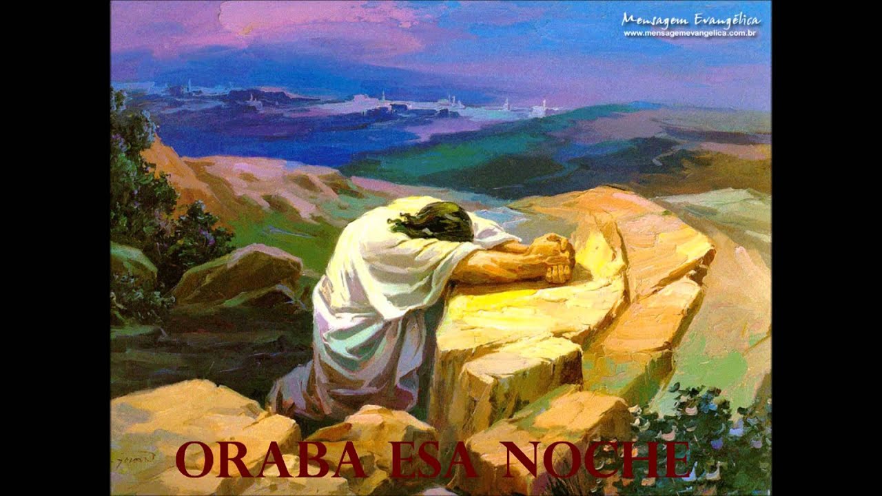 VOLVIO DEL DESIERTO-Y NO LE CREYERON.wmv