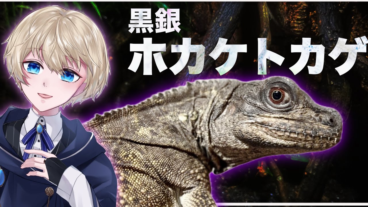 ＃1【セレベンシスホカケトカゲ】黒銀のスピノサウルスをご紹介！
