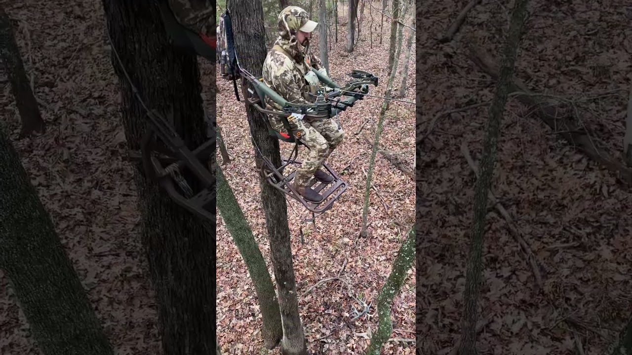 Big Buck Hunt! #nature #hunting #deerhunting #deer #archery #bowhunting #teamspypoint