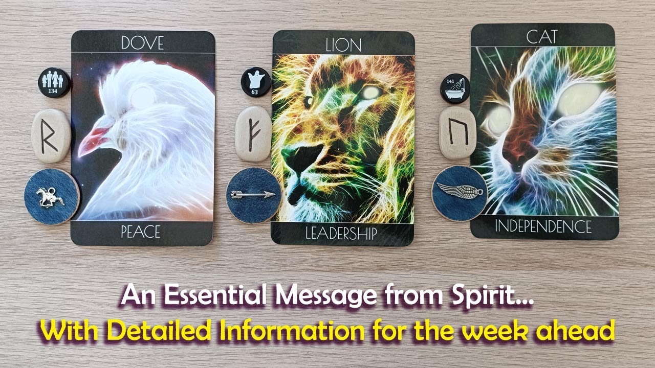 An essential Message from Spirit🙏🏼📩🌟& detailed information for the next 7 days #timelessreading
