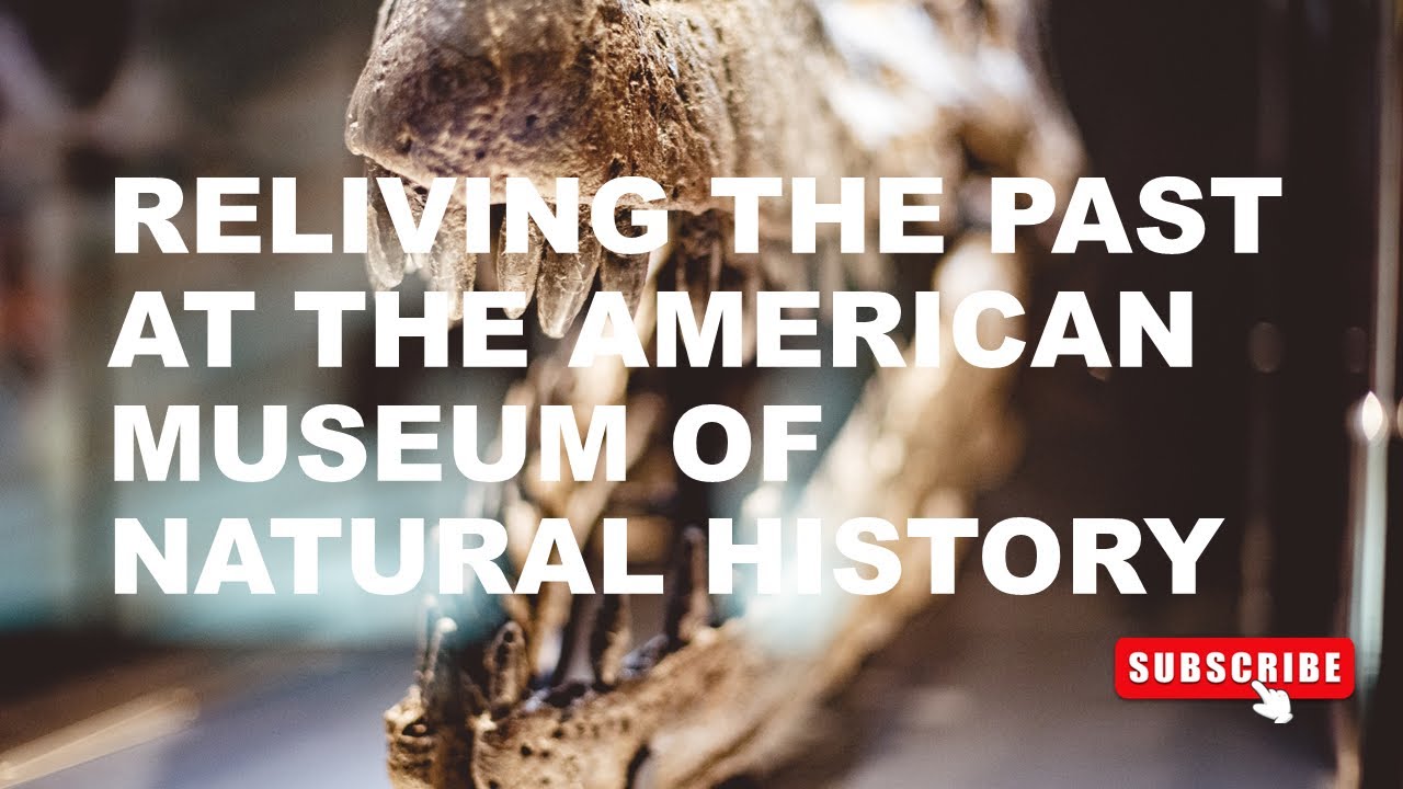Visiting the Most Interactive Natural History in the World: The American Museum of Natural History
