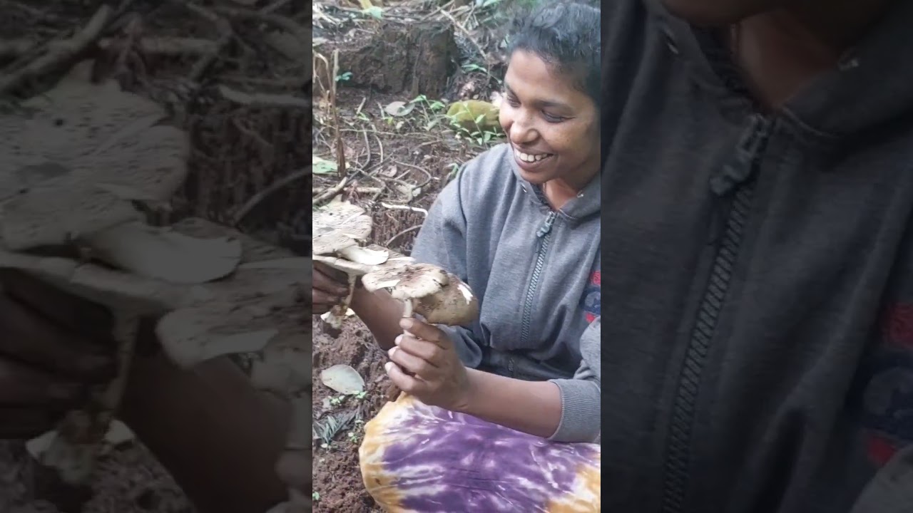 കൂൺ കൂൺ പാവക്കൂൺ😍😍👌