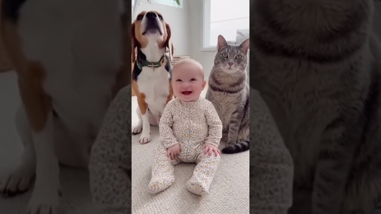 Baby Plays Peekaboo with Dog and Cat - Adorable Reactions! 😍