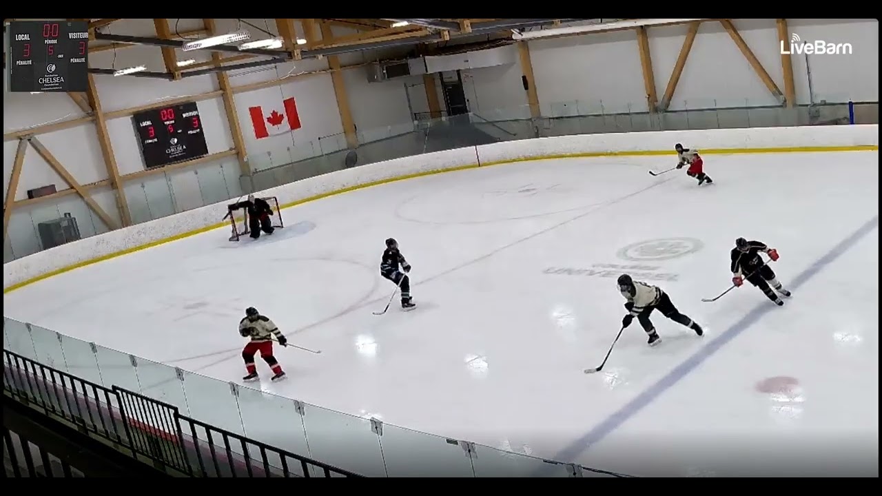 Morning Wood Hockey 2026 01 23