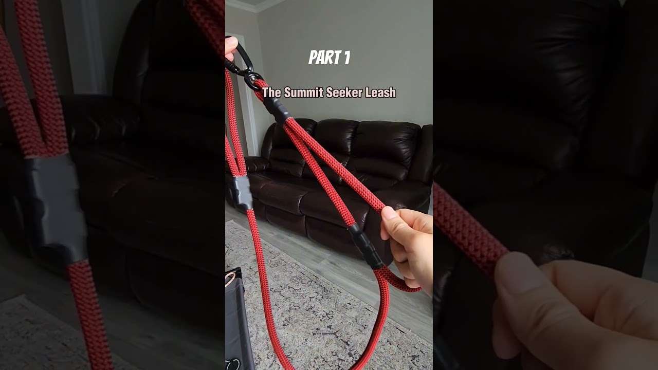 Best selling dog gear part 1 #dogleash #dogcollar #handsfreeleash