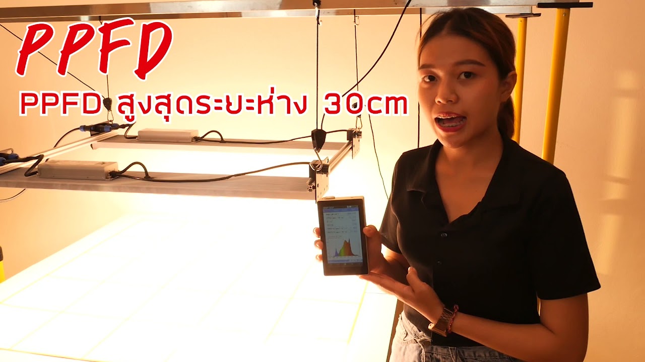 วัดค่า PAR PPFD Lux โคมไฟปลูกต้นไม้ ขนาด 480 วัตต์ Light of god เหมาะกับพืชที่เน้นดอกและการแตกยอด
