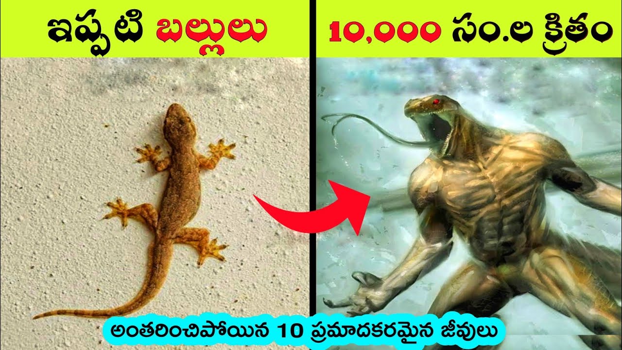 Top 10 Extinct animals | creatures before dinosaurs | interesting facts in Telugu | bmc facts