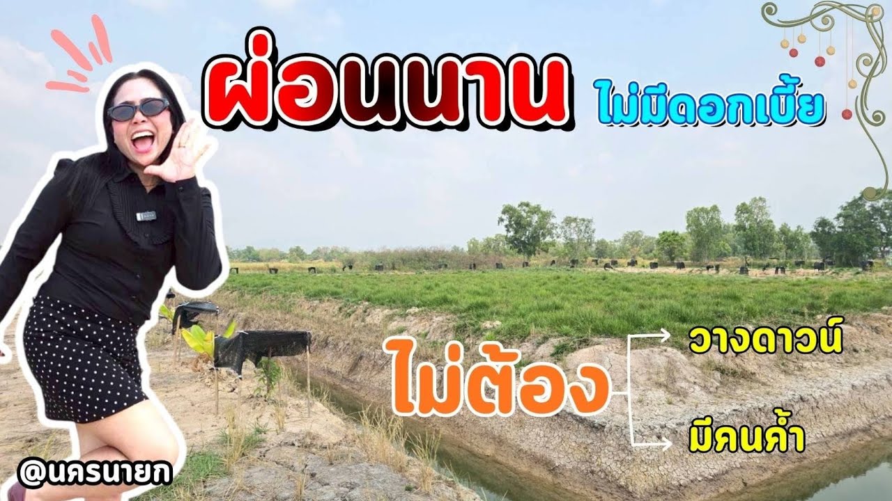 🔺️จ่ายน้อย 🔺️ผ่อนนาน ฟรีดอกเบี้ย ไม่ต้องวางเงินดาวน์ รีบ 8แปลงเท่านั้น..‼️