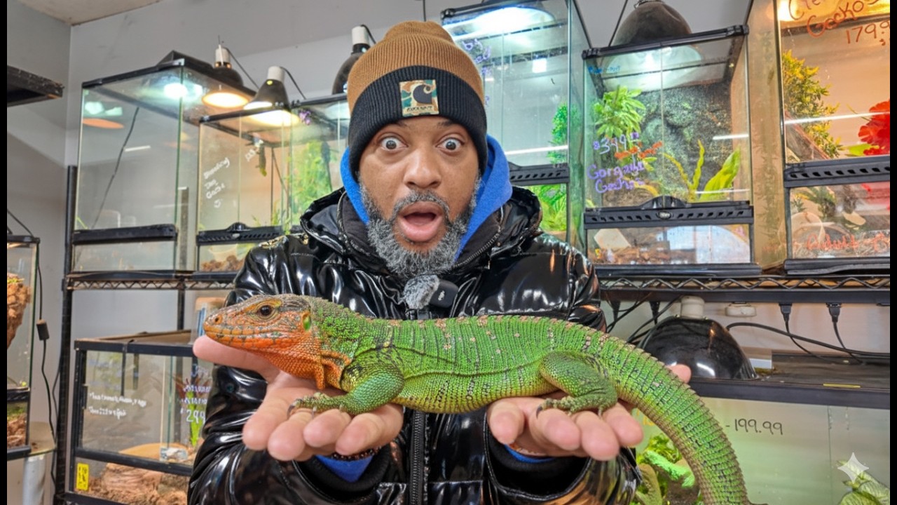 “WARNING: You’ll Want Every Animal in This Store!” Great Lakes Reptiles Shop