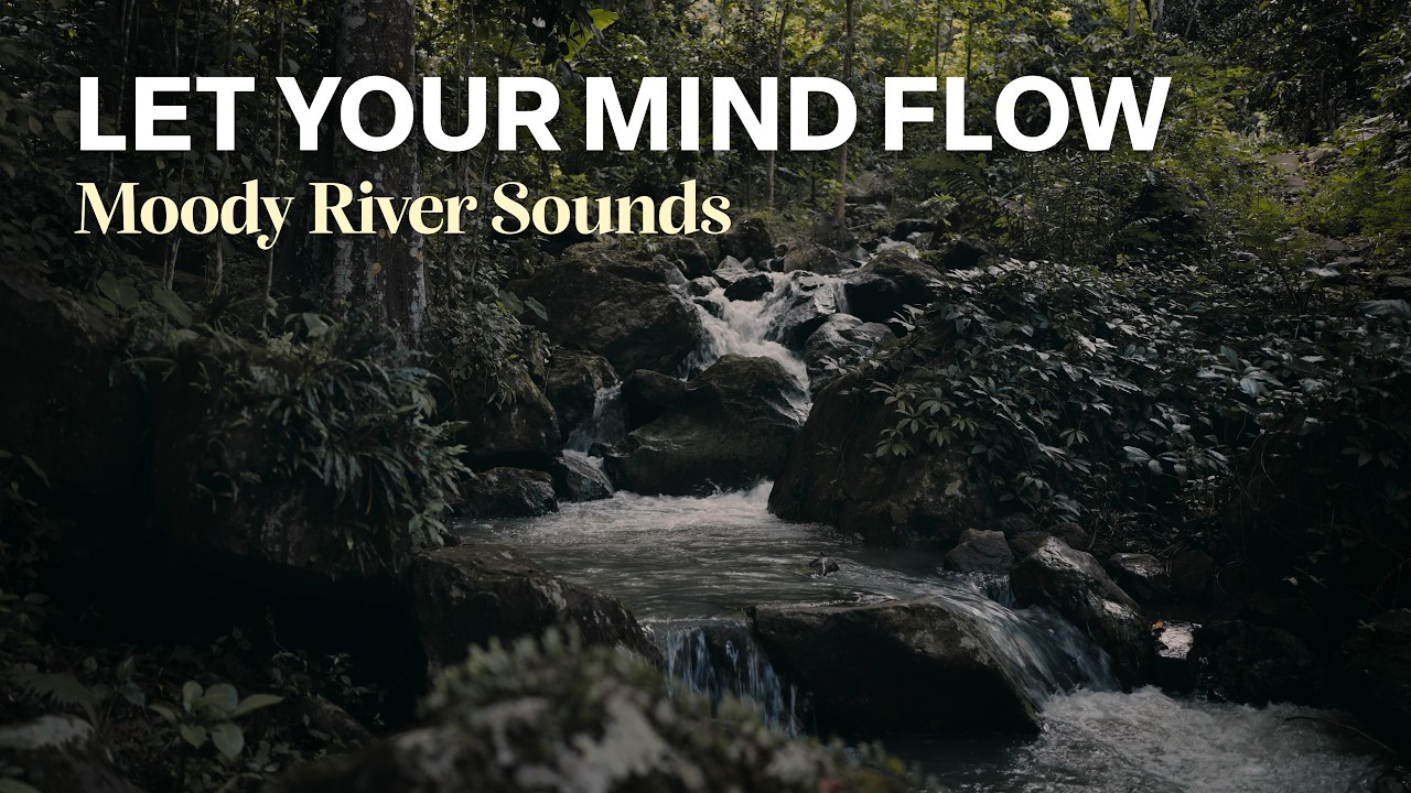 4K Moody Tropical River Sounds | Cinematic Nature Ambience for Sleep & Relaxation