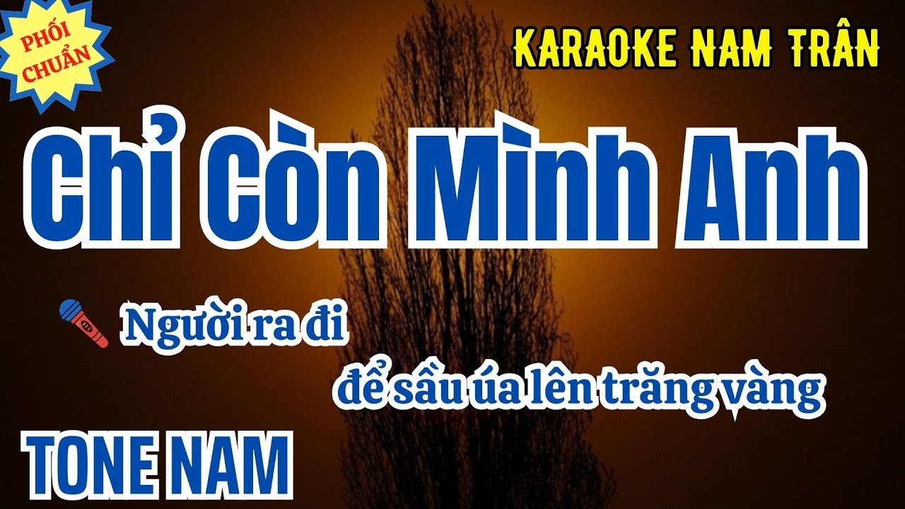 Karaoke Chỉ Còn Mình Anh (Phối Mới 2026) Tone Nam | Nam Trân
