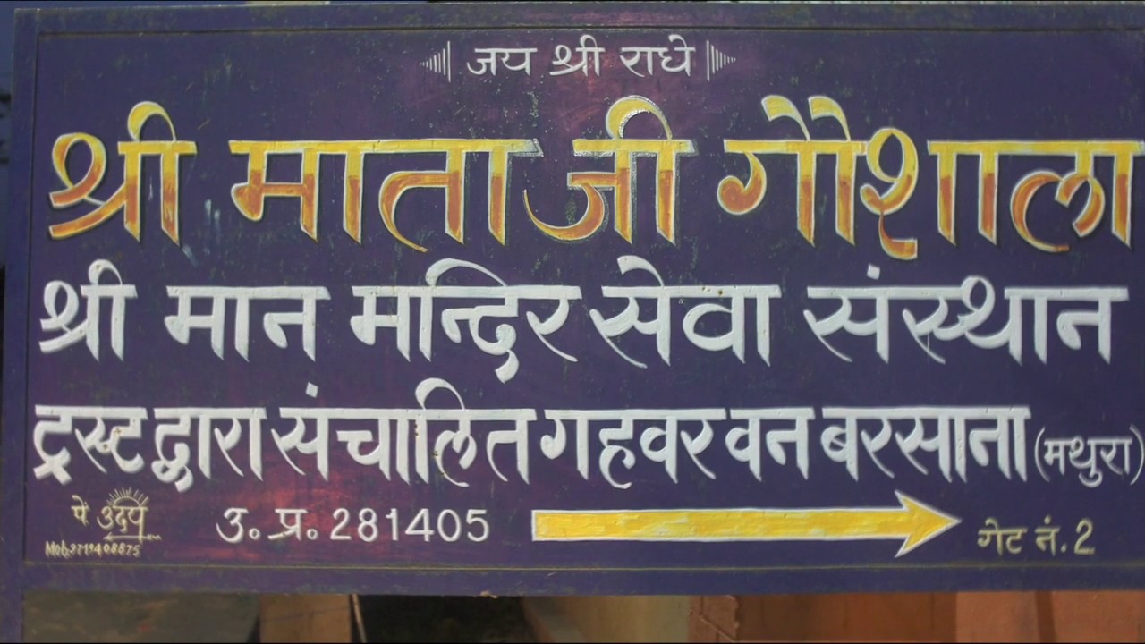 SHRI MATA JI GAUSHALA KE DARSHAN PART 02 MAANMANDIR BARSANA MATHURA UP