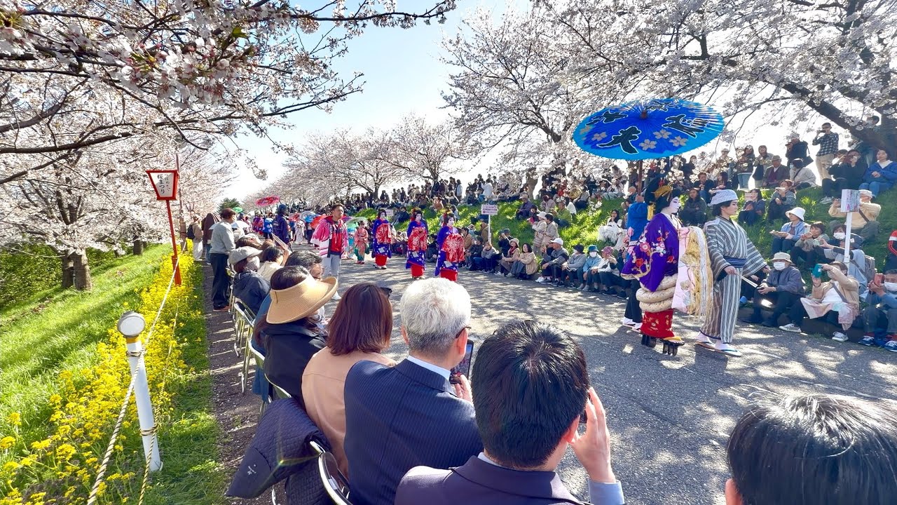 【分水おいらん道中】新潟県燕市で「つばめ桜まつり」の分水おいらん道中。2026年4月12日