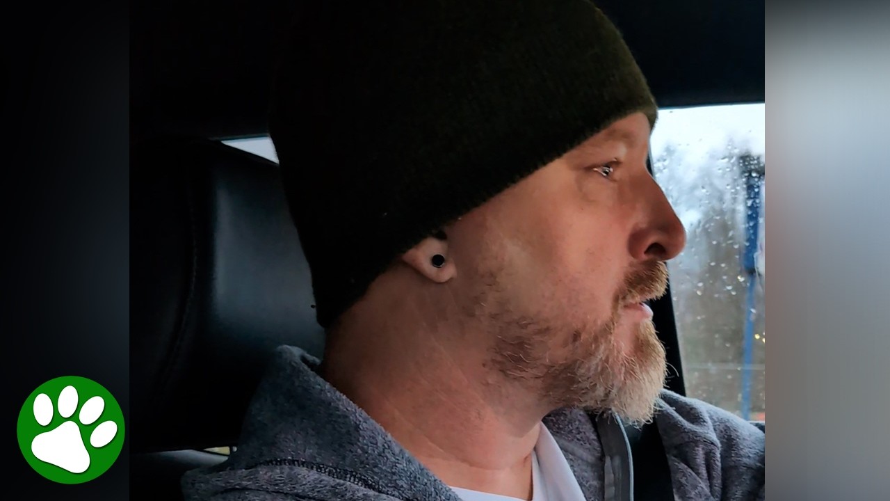 Dog-Loving Husband Cries the Entire Way to the Animal Shelter