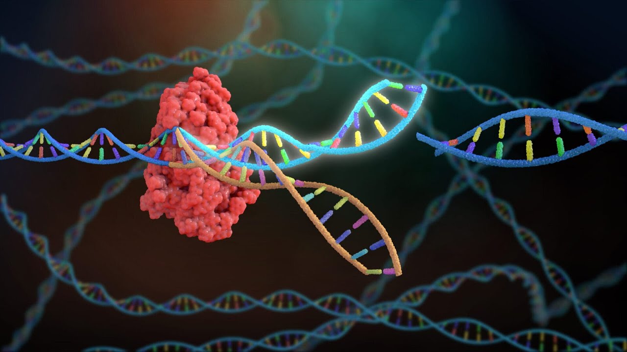 Guide to CRISPR Technology: Overview and Applications (2 Minutes)