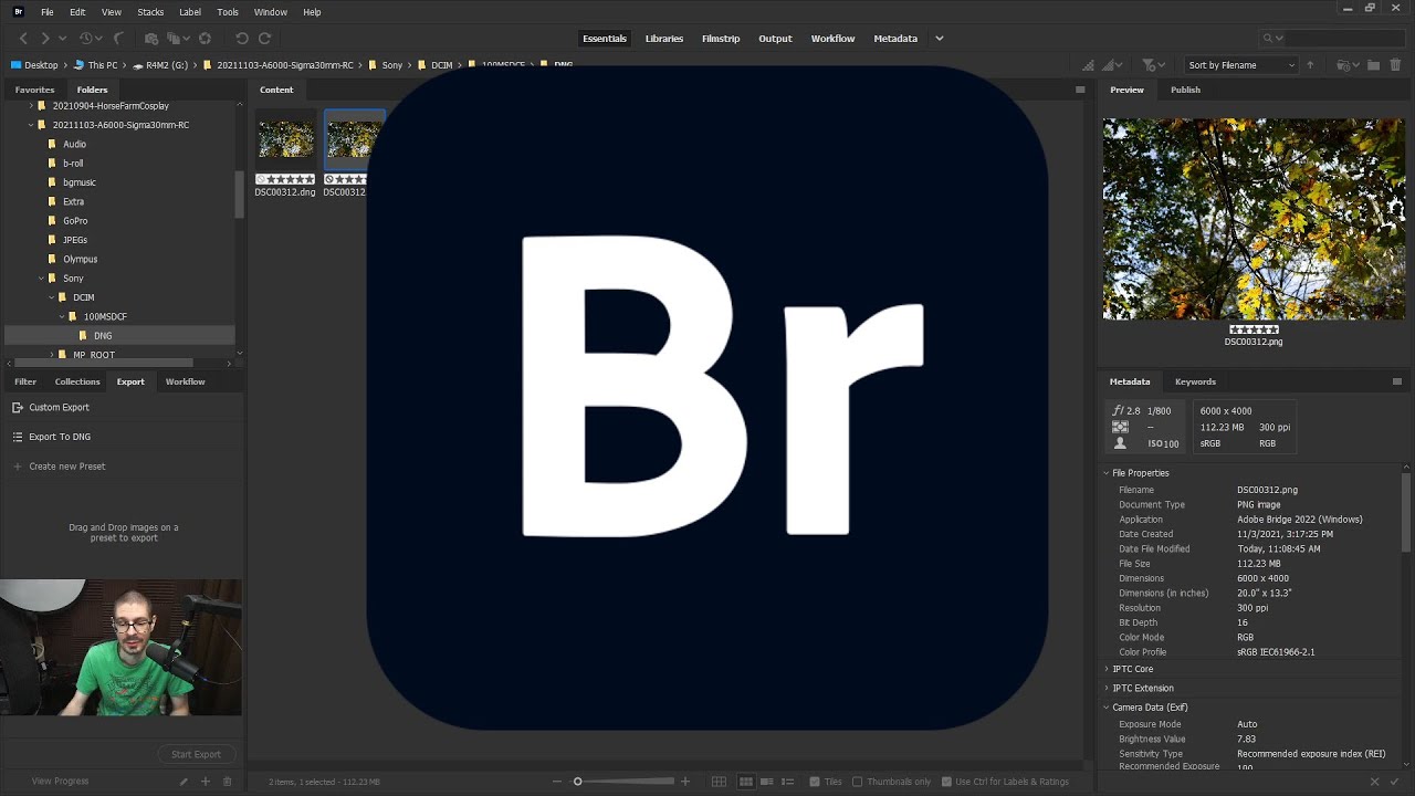 Adobe Bridge is FREE? 🤔🔍 Let's take a look...