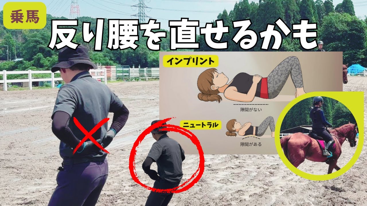「乗馬」反り腰を直せるかも⁉今日のヒントはインプリント