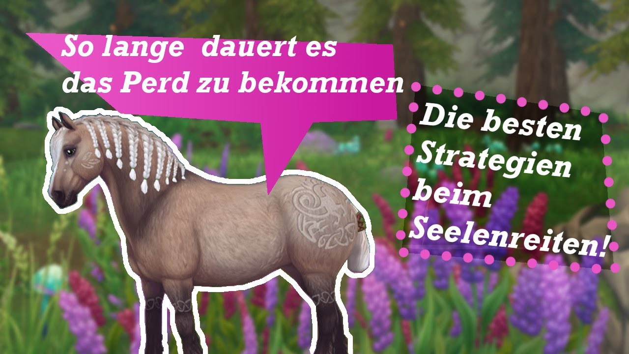 So lange dauert es das Pferd zu bekommen! Die besten Strategien beim Seelenreiten!