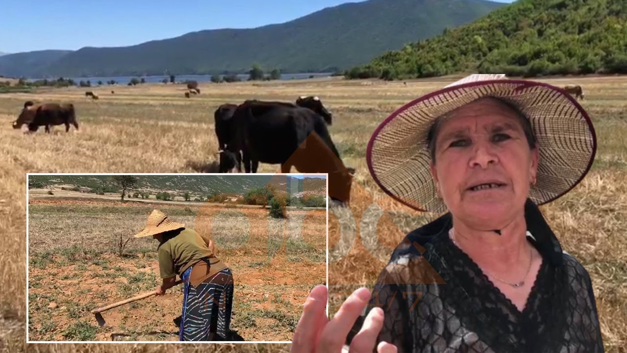 Jetesa e veshtire e banoreve te Pustecit, mungesa e investimeve ka detyruar te rinjte te emigrojne