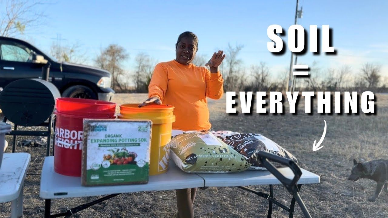 Your Soil Determines Everything | Garden Beds & Seedlings