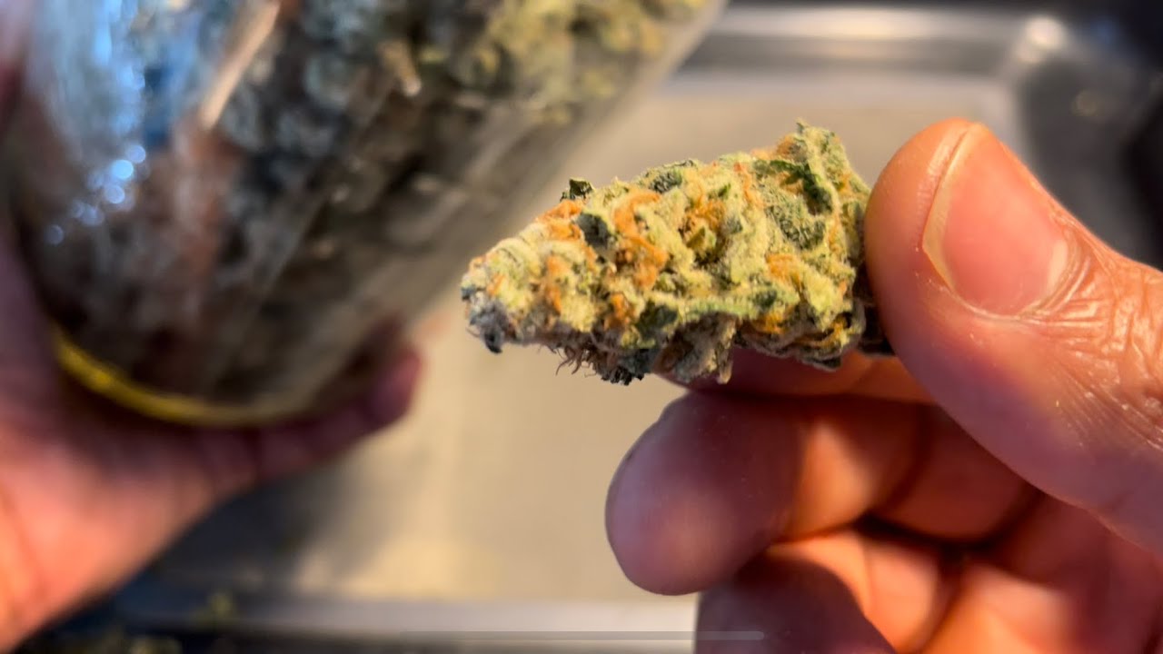 Harvest update and smoke report