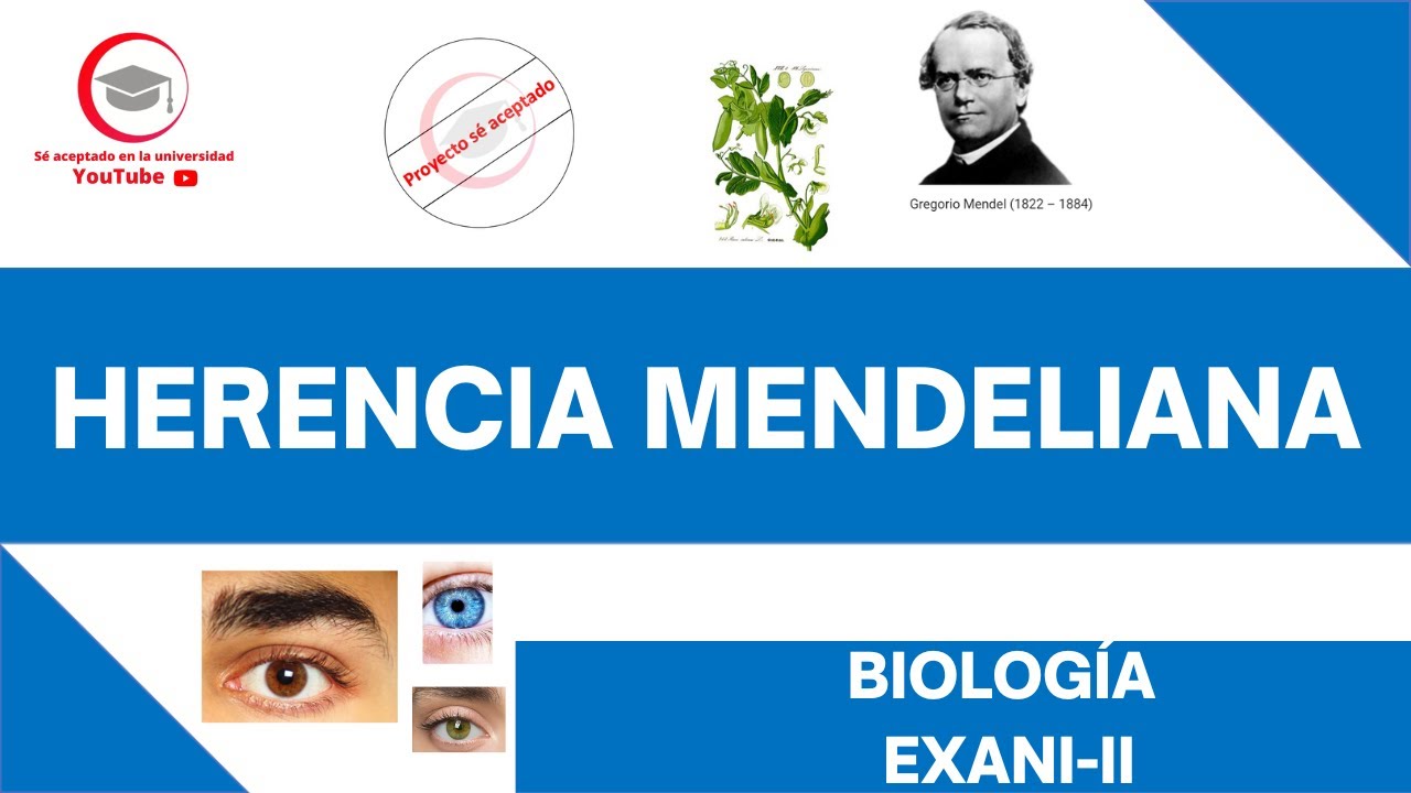 HERENCIA MENDELIANA (EXPLICACIÓN NIVEL FÁCIL PARA PRINCIPIANTES) | BIOLOGÍA | EXANI-II 2024