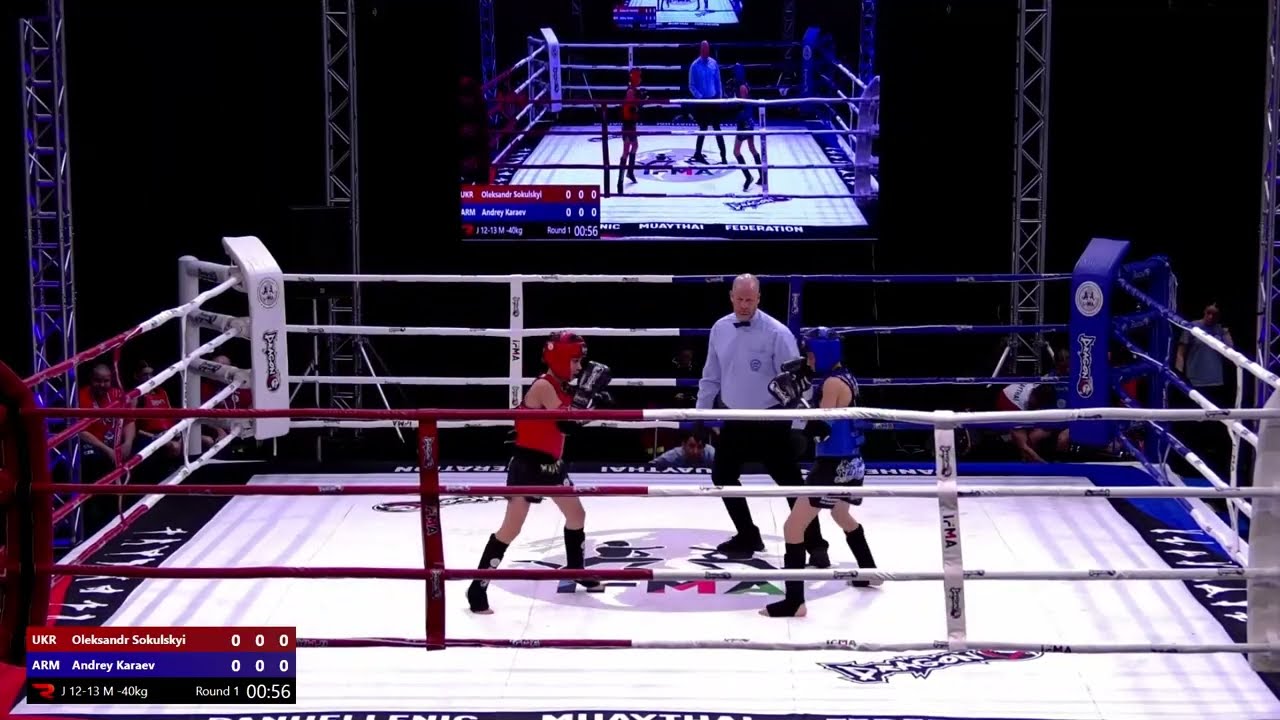 🥊 (UKR)  Oleksandr Sokulsky / (ARM) Andrey Karaev // EMC2025